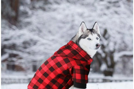 Dog Hoodie Sweatshirt Sweater for Extra Small Dogs Cat Puppy Clothes Coat Warm and Soft