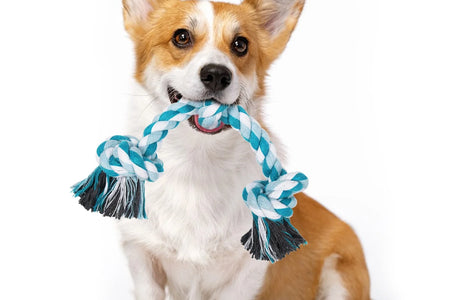 Vivifying 14 Inch Dog Rope Toys, Gift for Pets Dog Chew Toys Durable Braided Cotton Pet Chew Rope Toys 3 Knot Tough Rope Chew Toys for Small Dog Cat Puppy Teeth Cleaning Pink